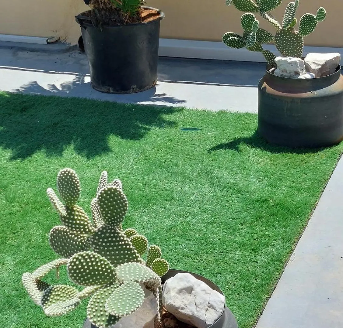 La Terrazza Illuminata Luxury Rooftop Trapani
